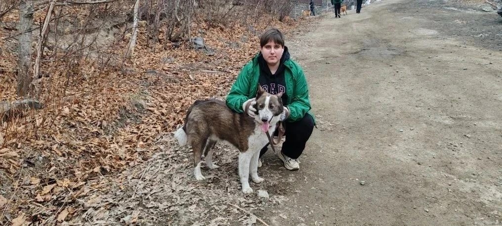 Большая команда участников на улице