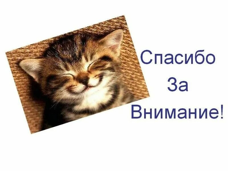 Иллюстрация с благодарностью за внимание